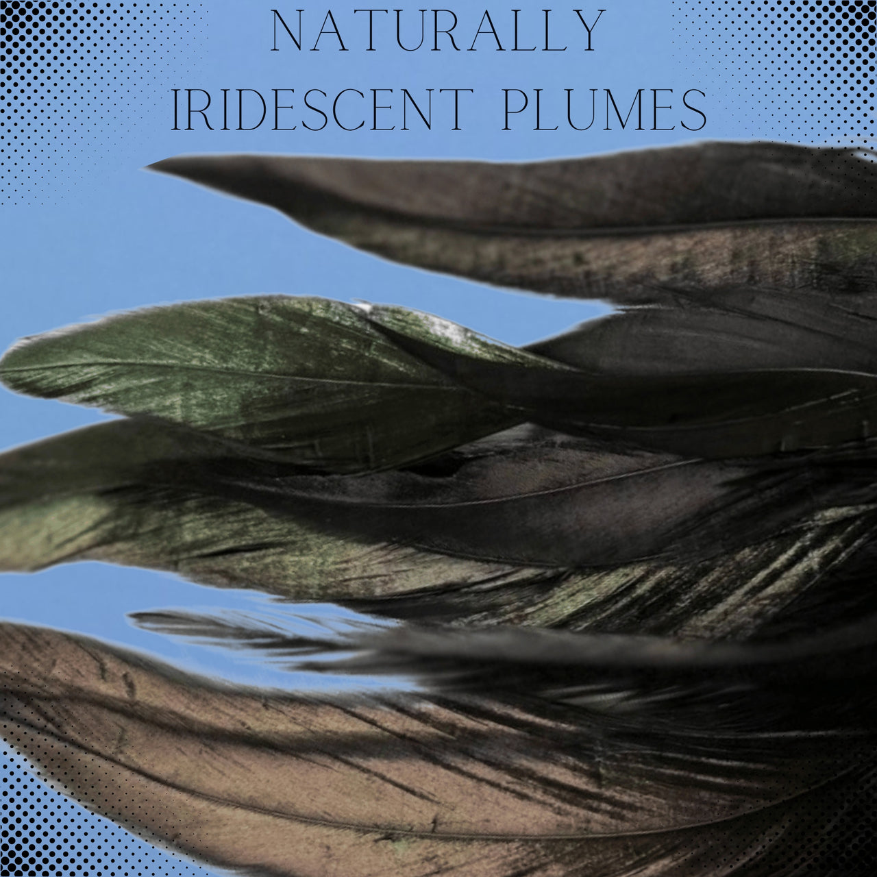 Dual Delight Black Feather & Leather Crop β Elegant Sensory Accessory for Playful Stimulation