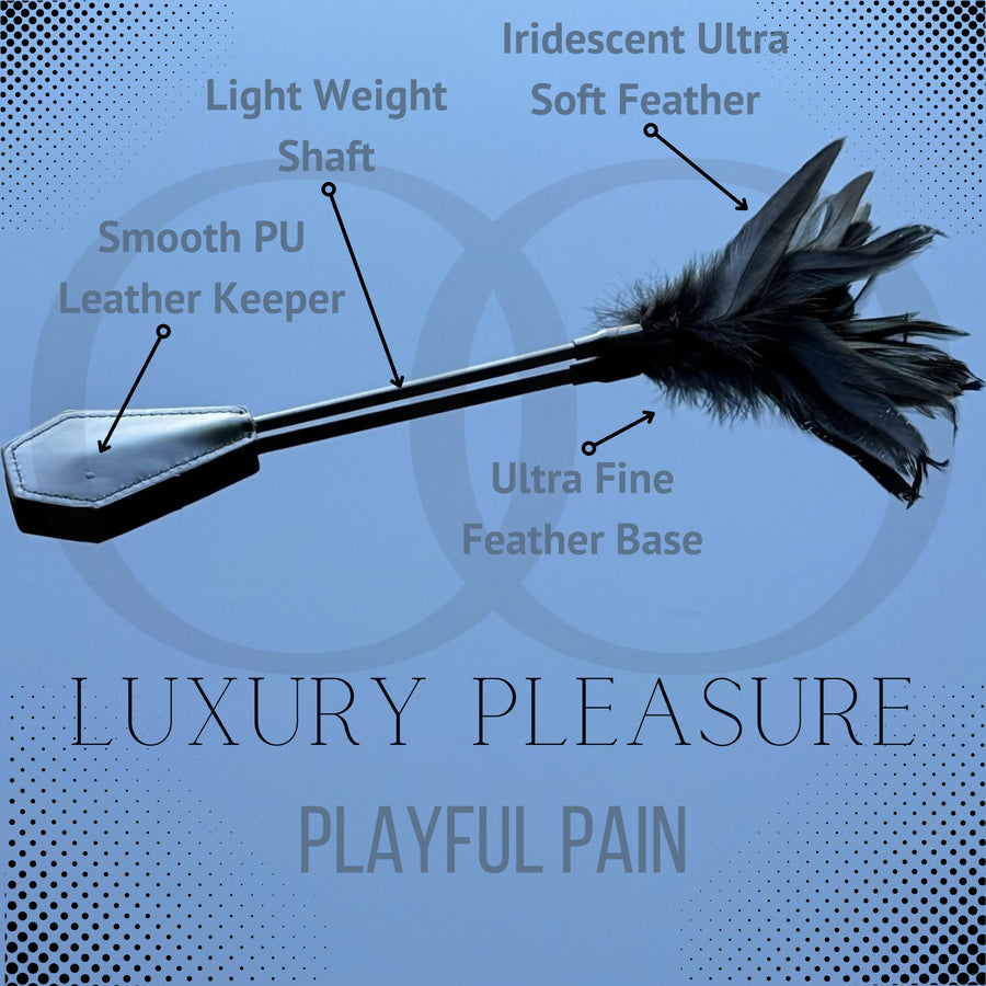 Dual Delight Black Feather & Leather Crop β Elegant Sensory Accessory for Playful Stimulation