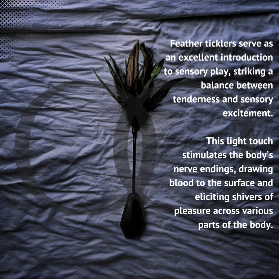 Dual Delight Black Feather & Leather Crop β Elegant Sensory Accessory for Playful Stimulation