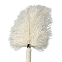 Thumbnail for Luxurious Teasing Feather Tickler - Sensory Play Accessory with Soft Plumes & Elegant Handle