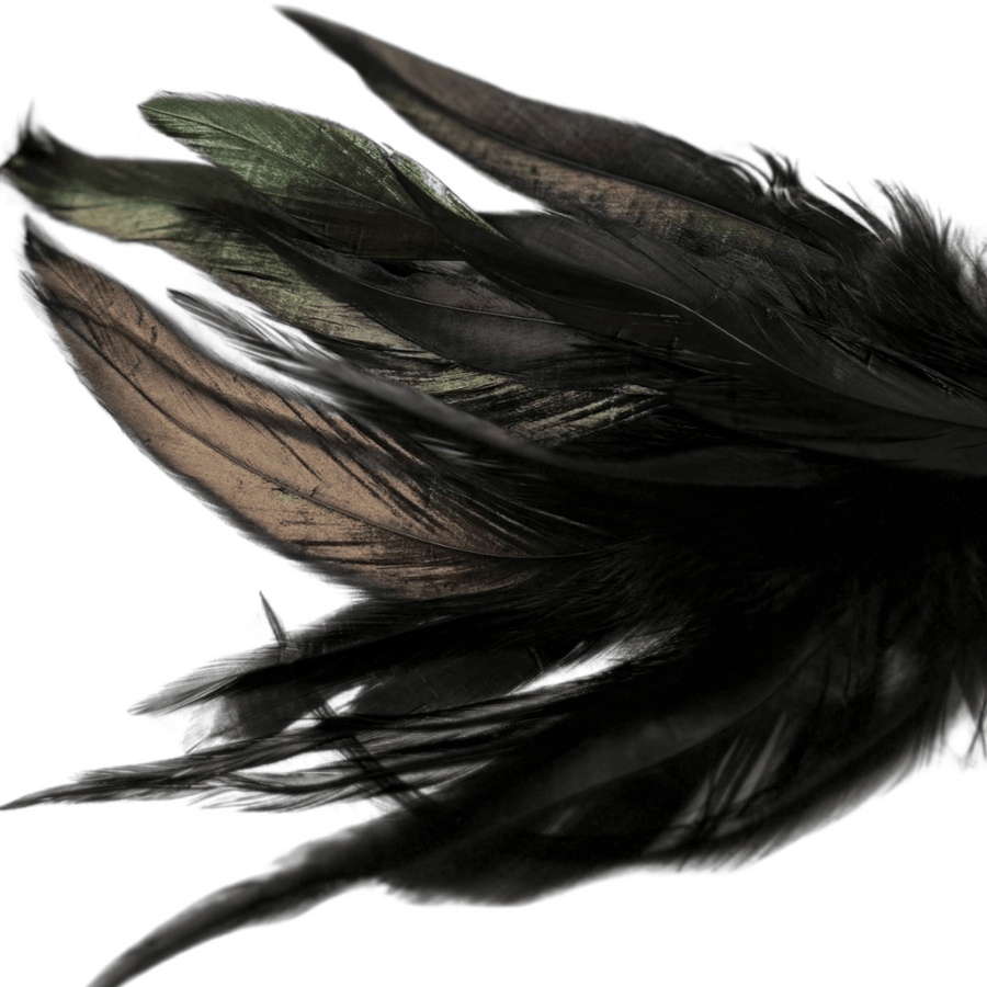 Dual Delight Black Feather & Leather Crop β Elegant Sensory Accessory for Playful Stimulation