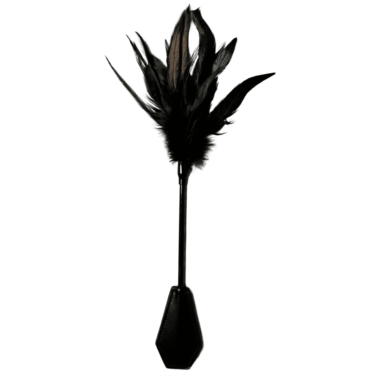 Dual Delight Black Feather & Leather Crop β Elegant Sensory Accessory for Playful Stimulation