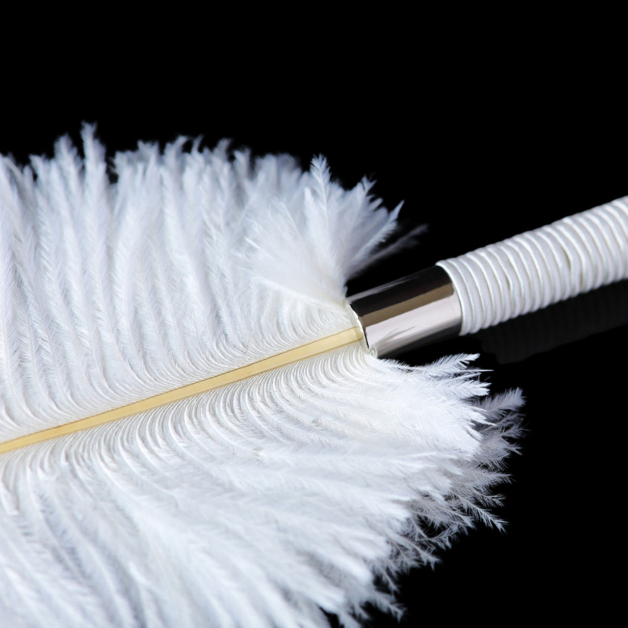 Flirting Feathers Ostrich Tickler