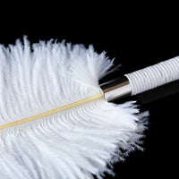 Thumbnail for Flirting Feathers Ostrich Tickler