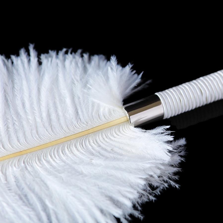 Flirting Feathers Ostrich Tickler