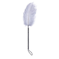 Thumbnail for Flirting Feathers Ostrich Tickler
