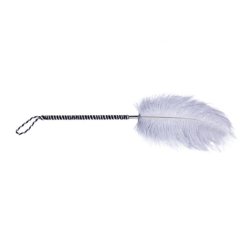 Flirting Feathers Ostrich Tickler