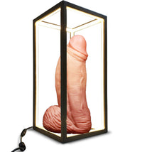 Thumbnail for Cuboid Rectangle Lamp & Toy Display