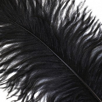 Ostrich Feather White Black Red Fluffy Feather For Wedding Party