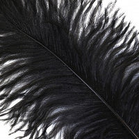 Thumbnail for Ostrich Feather White Black Red Fluffy Feather For Wedding Party