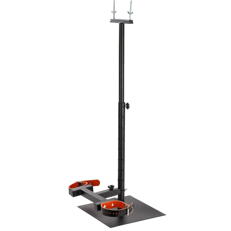 Roomsacred Ultimate CBT Pillory with Adjustable Height and Variable Ball Crushing Pressure