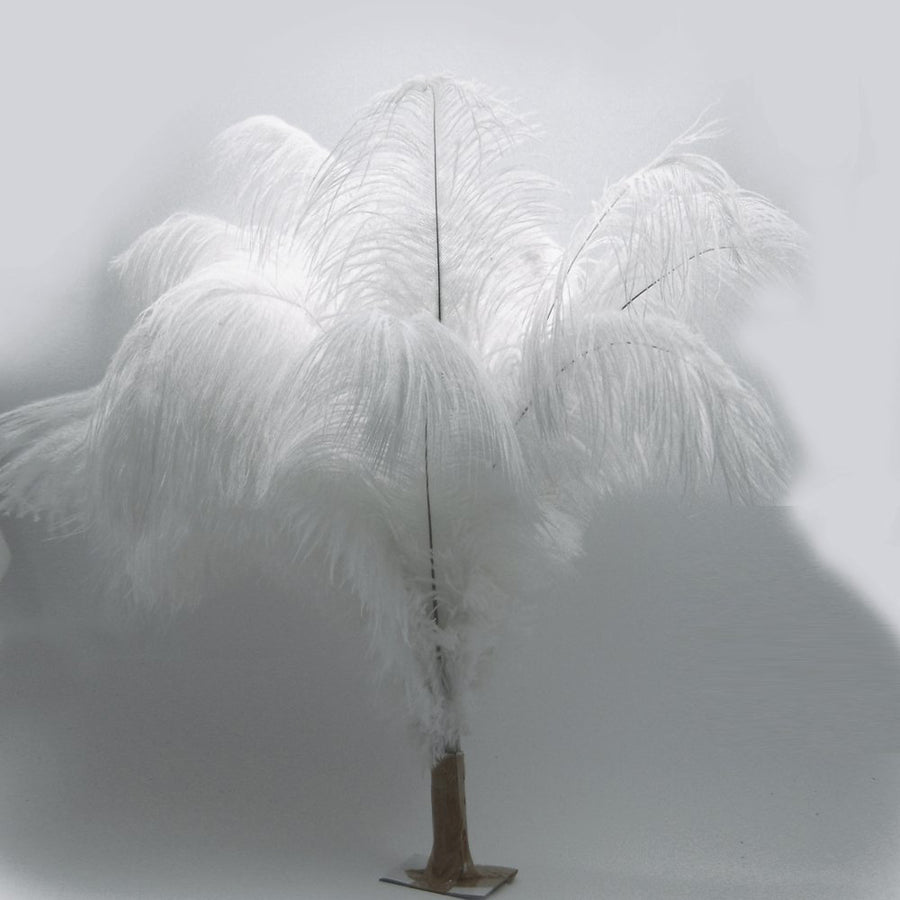 Ostrich Feather White Black Red Fluffy Feather For Wedding Party