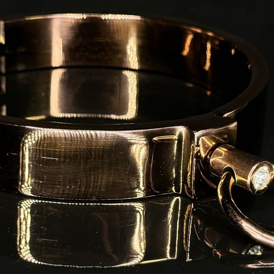 Ultra-Luxury Stainless Steel Collar with Gemstone O-Ring – Premium BDSM Twist-Lock Choker Velvet-Smooth 2 Sizes for Custom Restraint