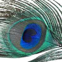 Thumbnail for The Roomsacred Sensory Trinity
