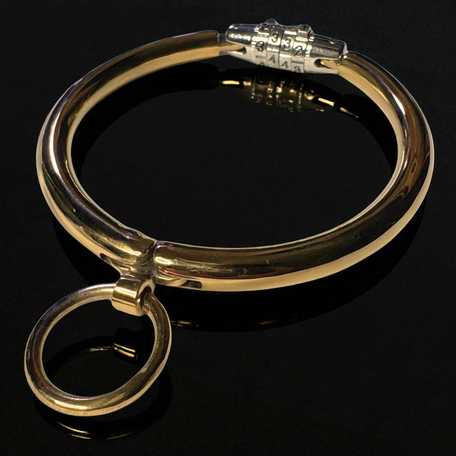 Elegant Stainless Steel Collar Gold or Silver with Combination Lock Secure and Stylish For Play or 24/7 Use