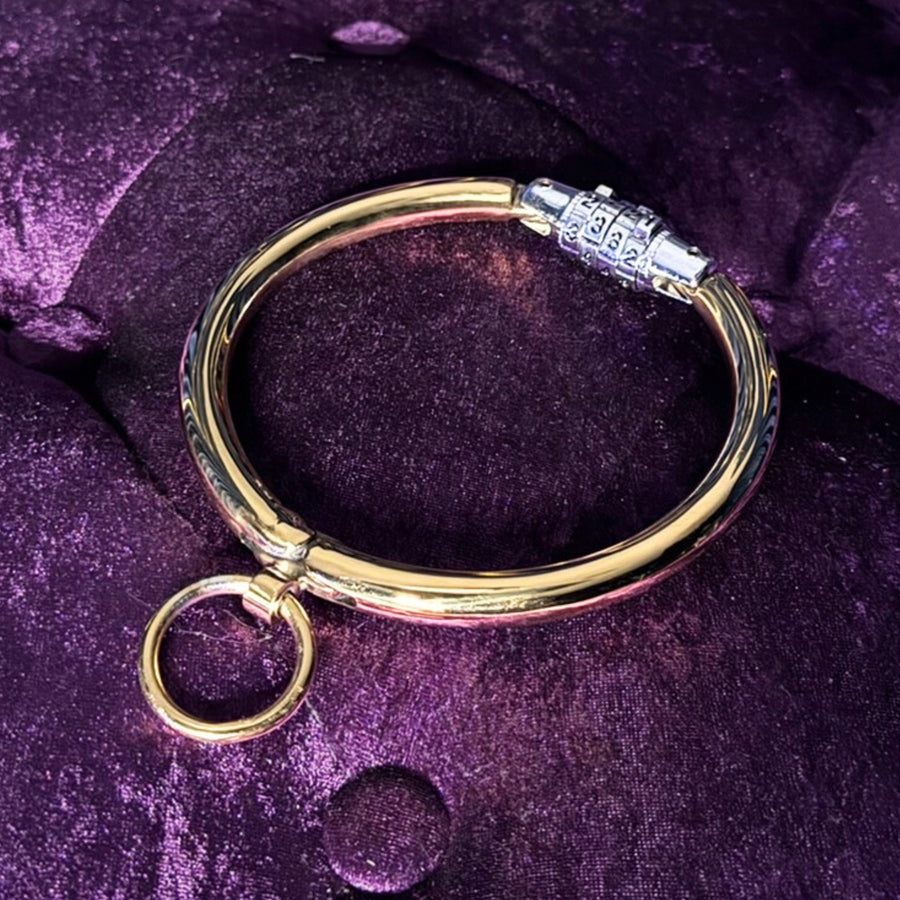 Elegant Stainless Steel Collar Gold or Silver with Combination Lock Secure and Stylish For Play or 24/7 Use