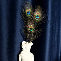 Thumbnail for Luxury Peacock Feather Tickler with Gold Accent Handle, French-Inspired Sensory Tease Tool for Couples Sensation Play