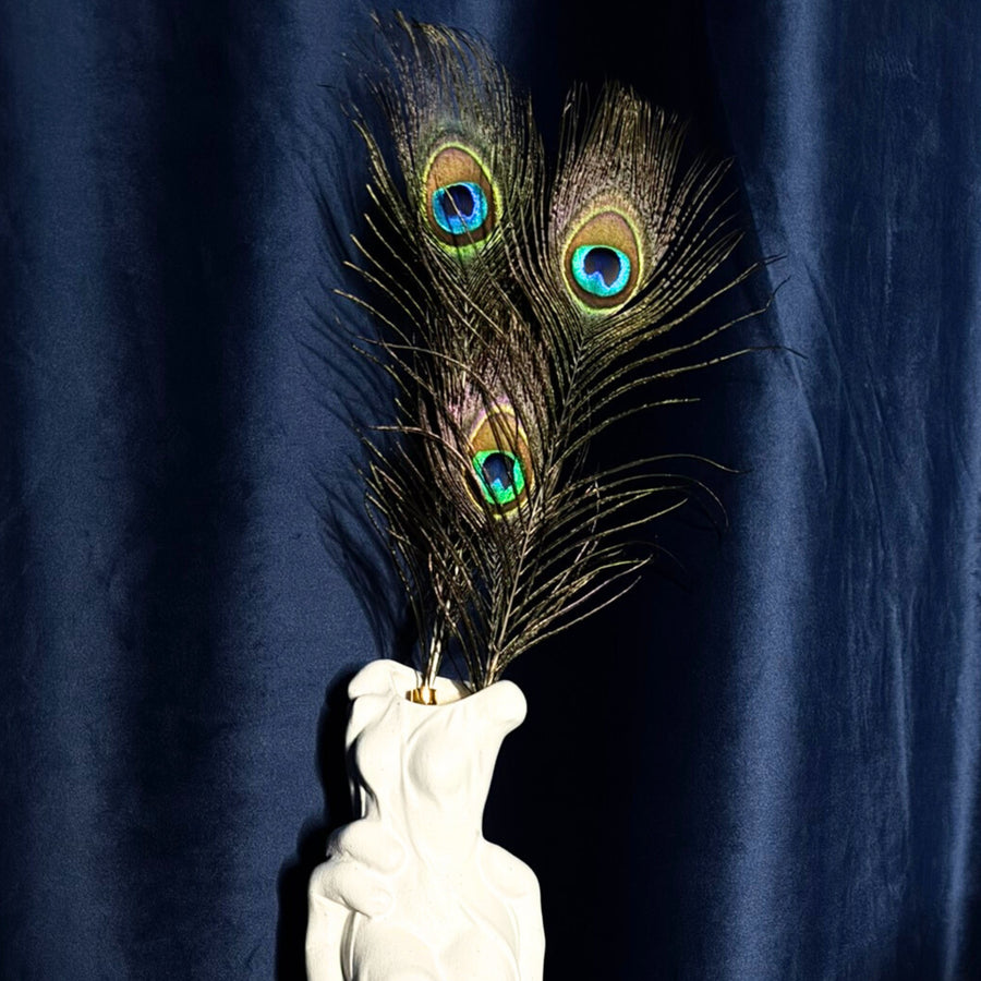 Luxury Peacock Feather Tickler with Gold Accent Handle, French-Inspired Sensory Tease Tool for Couples Sensation Play