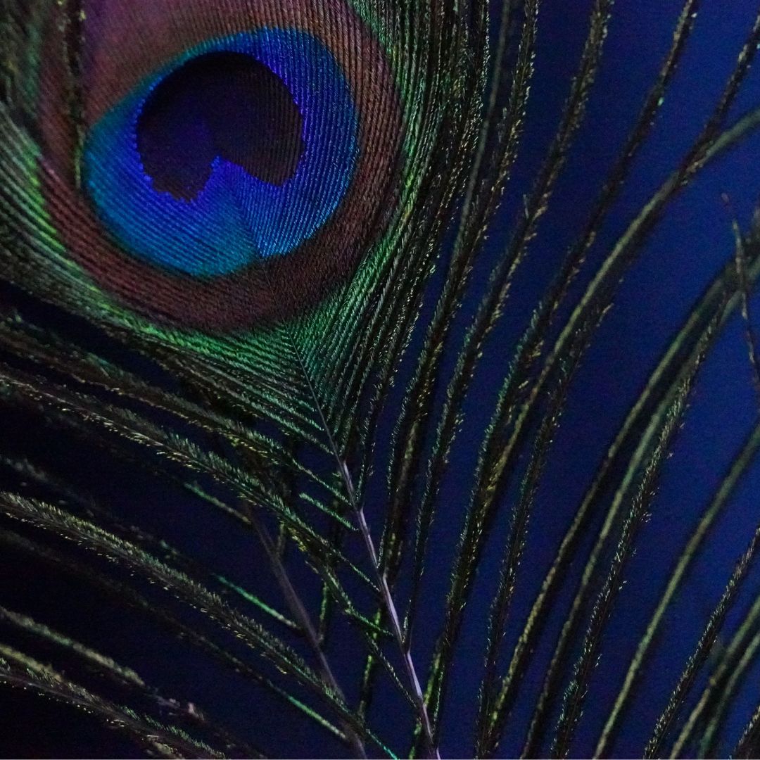 The Roomsacred Sensory Trinity