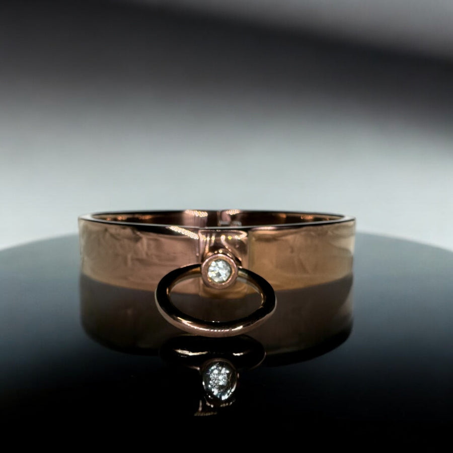 Ultra-Luxury Stainless Steel Collar with Gemstone O-Ring – Premium BDSM Twist-Lock Choker Velvet-Smooth 2 Sizes for Custom Restraint