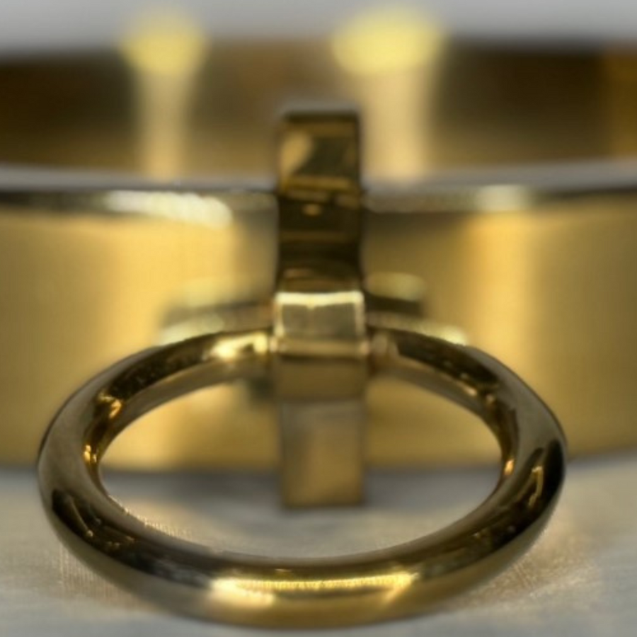 Roomsacred Love Collection Solid Stainless Steel Gold Bondage Collar Luxury Adult Restraint Neck Cuff