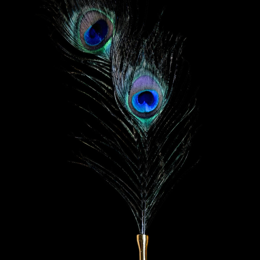 Luxury Peacock Feather Tickler with Gold Accent Handle, French-Inspired Sensory Tease Tool for Couples Sensation Play