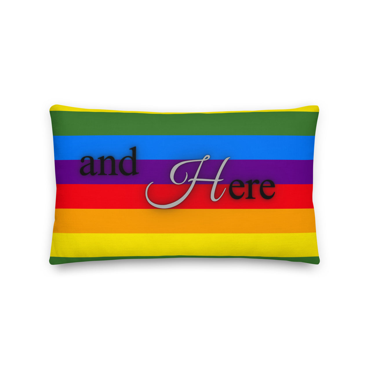 We Had Sex Here And Here Reversable Premium Pride Pillow