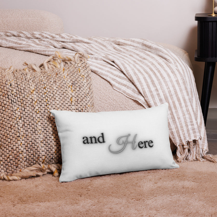 We Had Sex Here And Here Reversable Premium Pillow