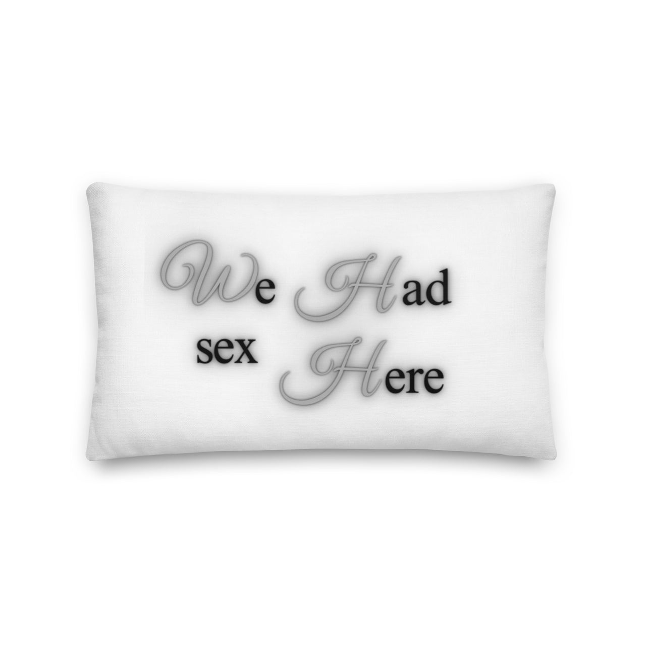 We Had Sex Here And Here Reversable Premium Pillow