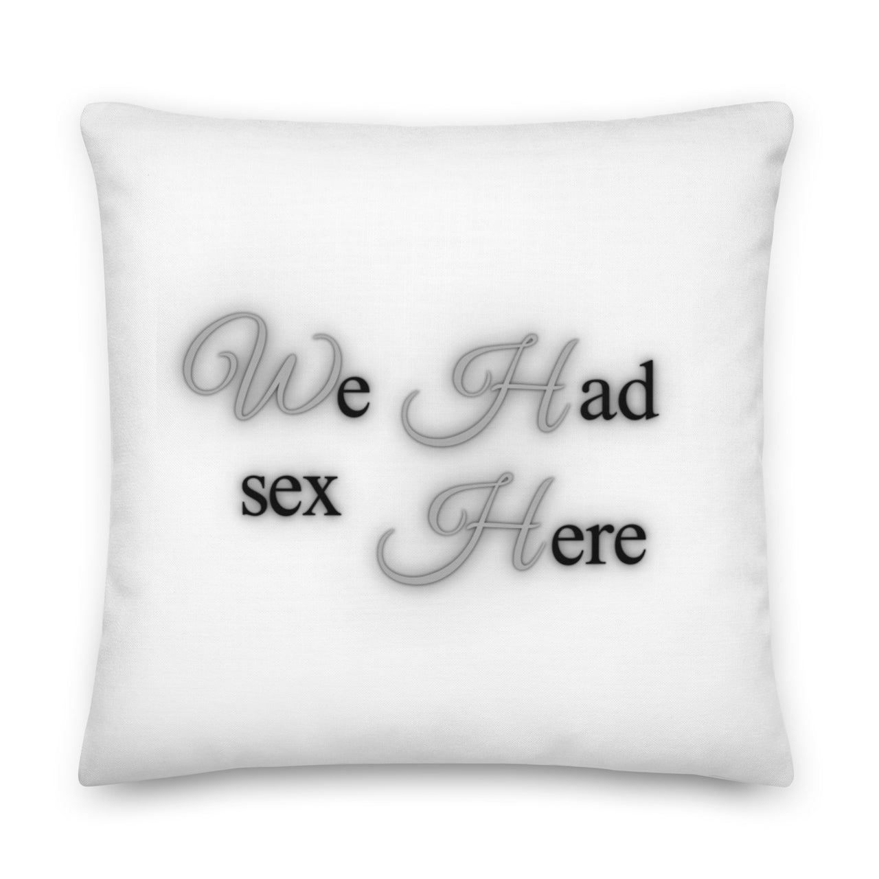 We Had Sex Here And Here Reversable Premium Pillow