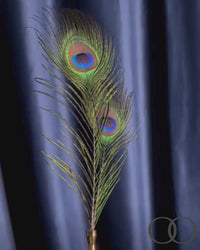 Luxury Peacock Feather Tickler with Gold Accent Handle, French-Inspired Sensory Tease Tool for Couples Sensation Play