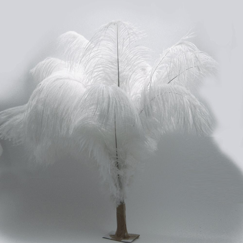 Ostrich Feather White Black Red Fluffy Feather For Wedding Party