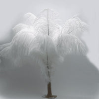 Thumbnail for Ostrich Feather White Black Red Fluffy Feather For Wedding Party