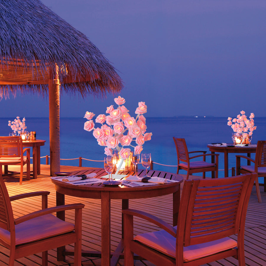 Soft Rose Night Light