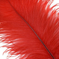 Thumbnail for Ostrich Feather White Black Red Fluffy Feather For Wedding Party