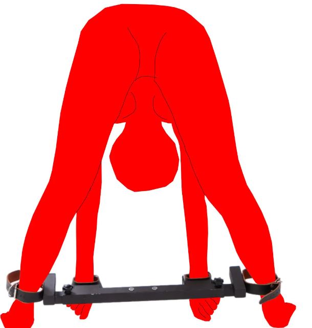 Adjustable Torture Pillory with Dildo