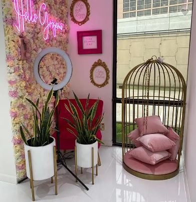 Rouge Collection Bird Cage Throne Chair
