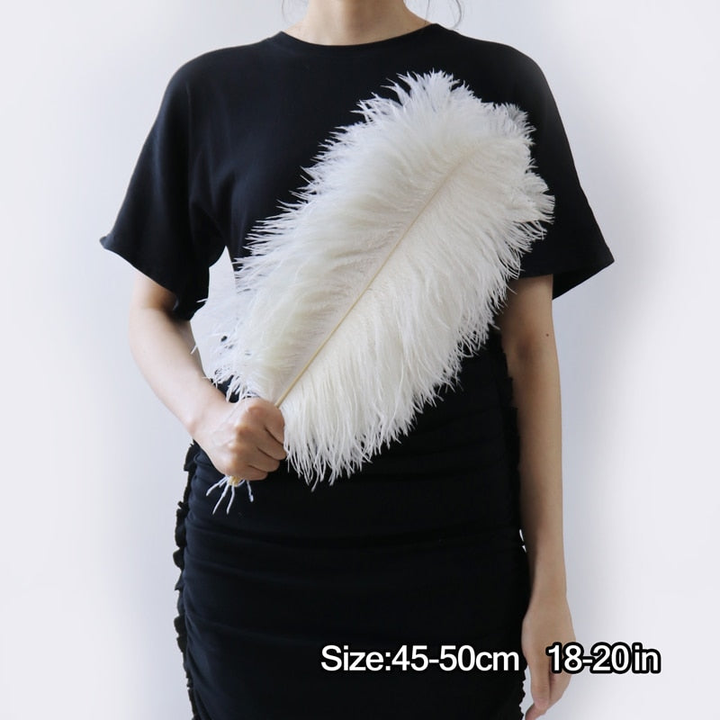 10 Pack Natural Ostrich Feathers Sex Room Decor