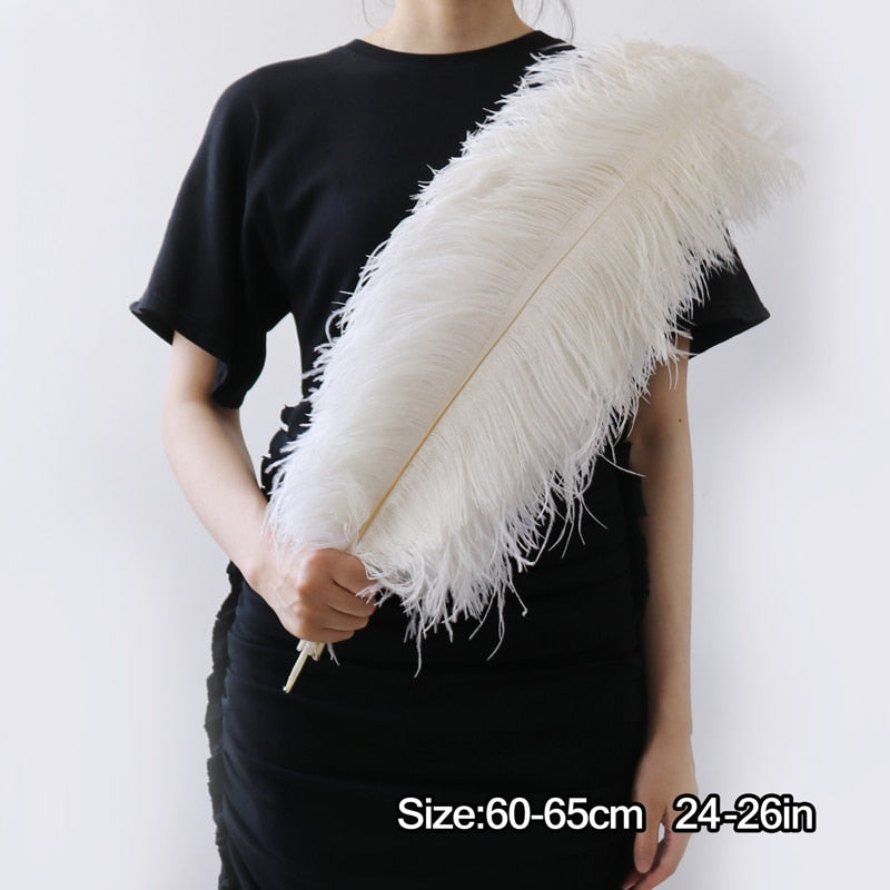 10 Pack Natural Ostrich Feathers Sex Room Decor