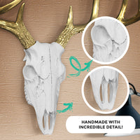 Thumbnail for White Gold Deer Skull