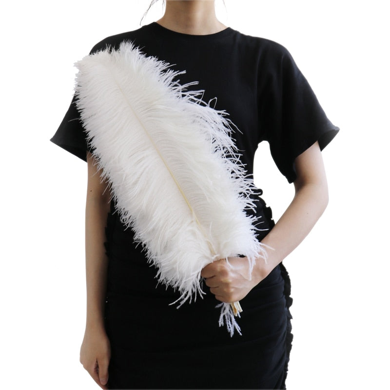 10 Pack Natural Ostrich Feathers Sex Room Decor