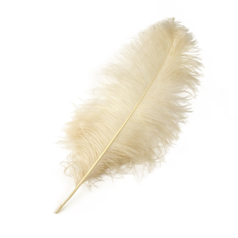 10 Pack Natural Ostrich Feathers Sex Room Decor