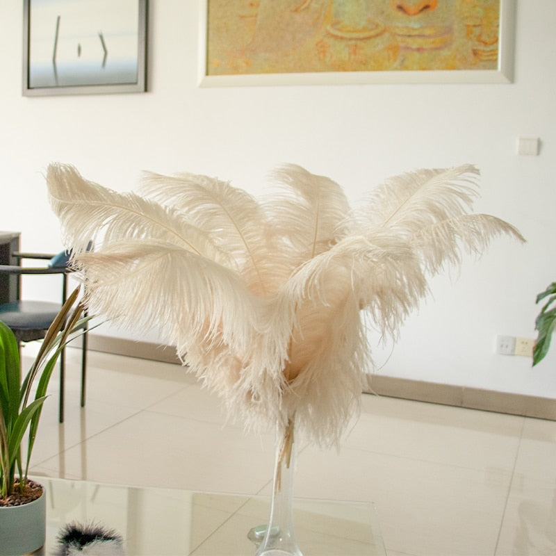 10 Pack Natural Ostrich Feathers Sex Room Decor – Roomsacred