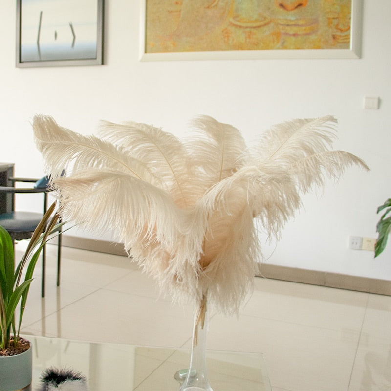 10 Pack Natural Ostrich Feathers Sex Room Decor