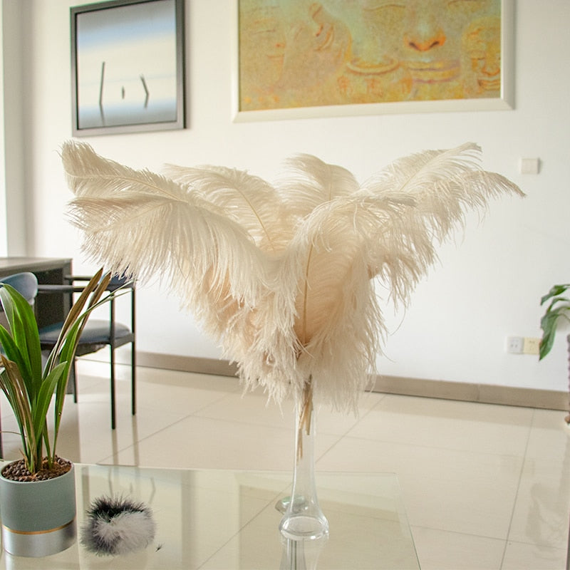 10 Pack Natural Ostrich Feathers Sex Room Decor – Roomsacred