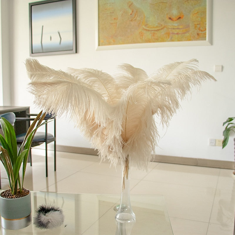 10 Pack Natural Ostrich Feathers Sex Room Decor