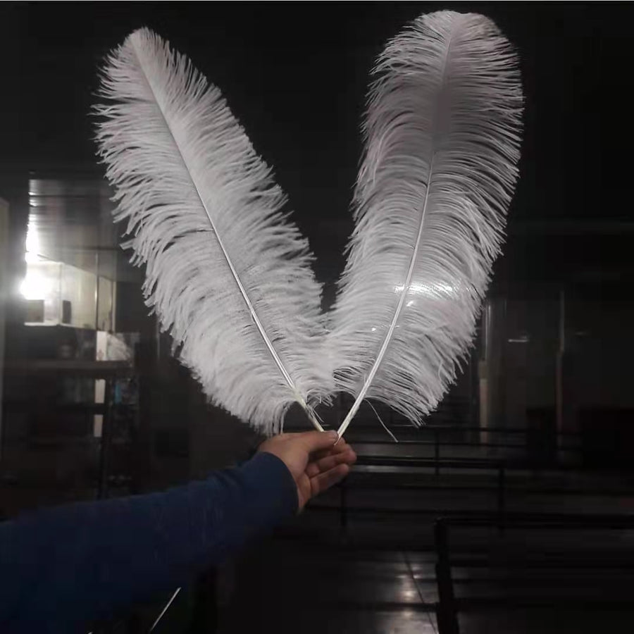 10 Pack Natural Ostrich Feathers Sex Room Decor