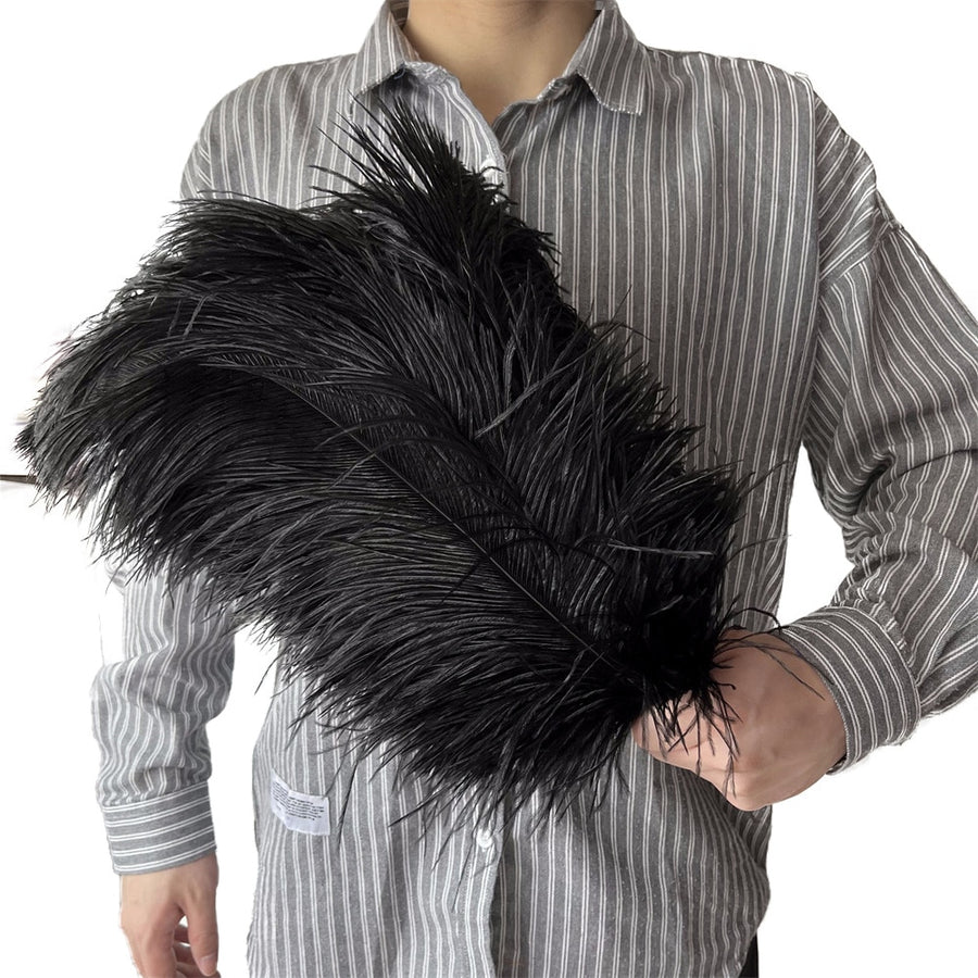 10 Pack Natural Ostrich Feathers Sex Room Decor