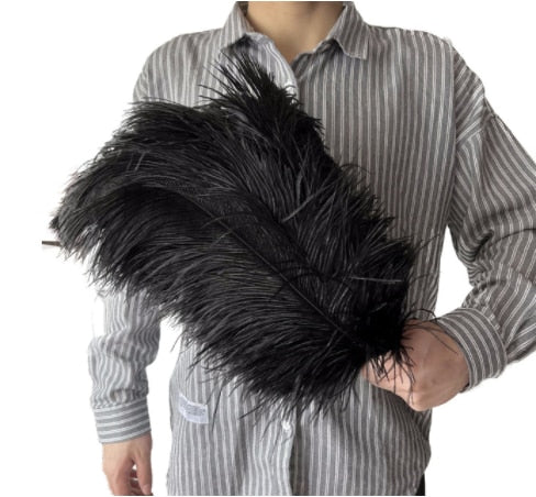 10 Pack Natural Ostrich Feathers Sex Room Decor