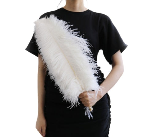10 Pack Natural Ostrich Feathers Sex Room Decor